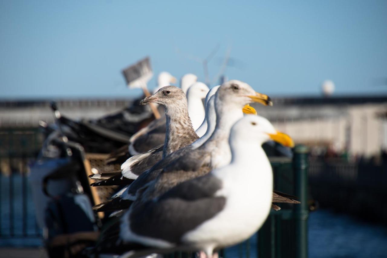 The Greenwich Rooms - Burger & Bird Bar & Restaurant Peacehaven Exterior photo